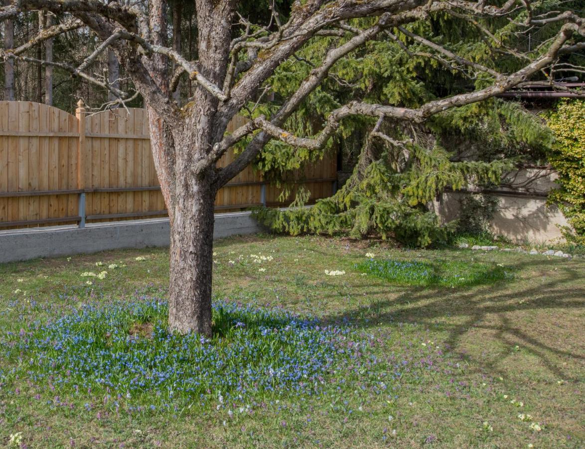 Garten Appartement Harmony Finkenstein am Faaker See Eksteriør billede