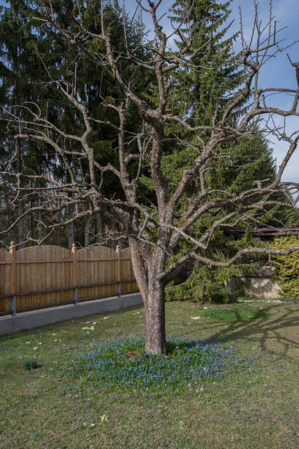 Garten Appartement Harmony Finkenstein am Faaker See Eksteriør billede