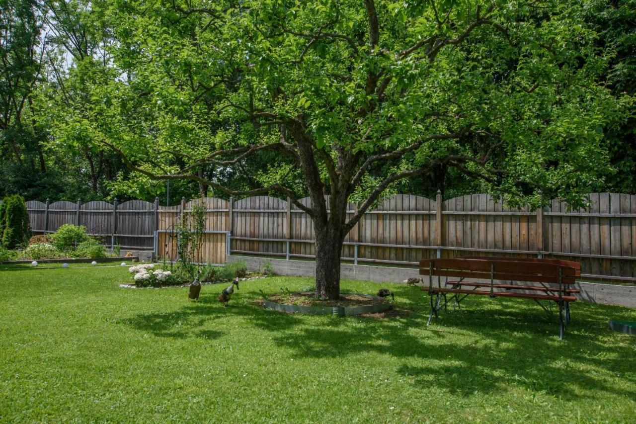Garten Appartement Harmony Finkenstein am Faaker See Eksteriør billede