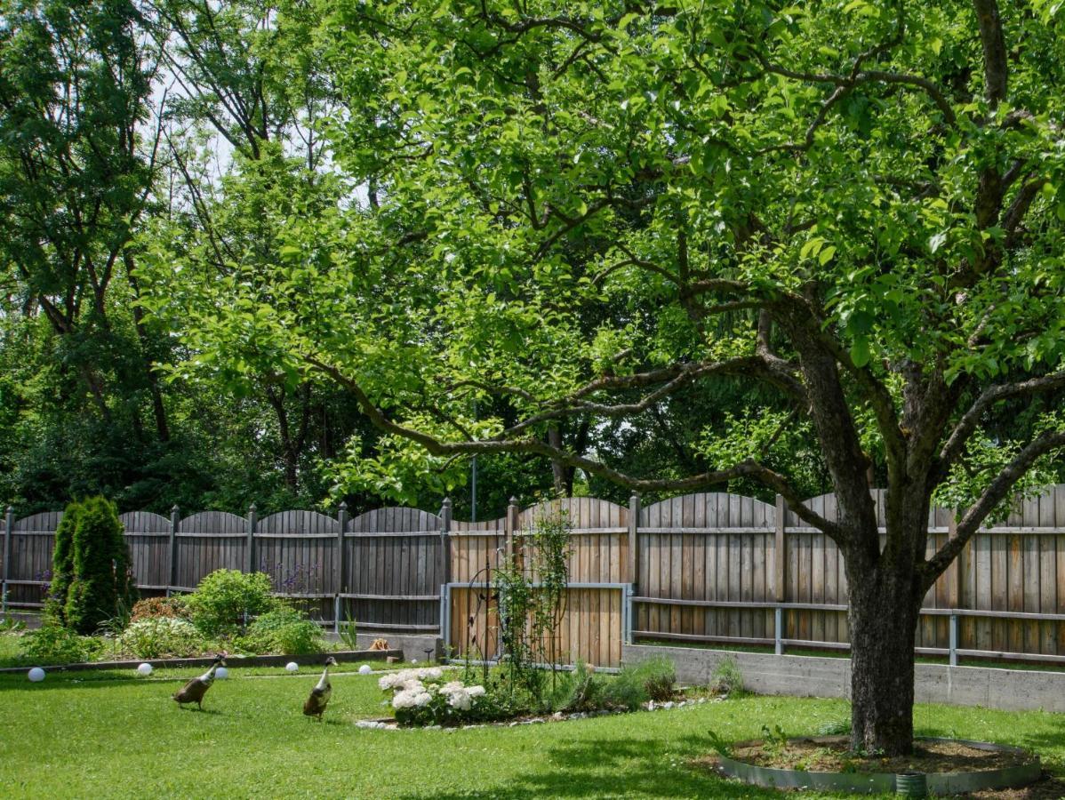 Garten Appartement Harmony Finkenstein am Faaker See Eksteriør billede